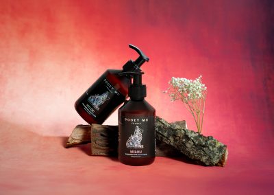 Shampoings pour chien sur fond orangé avec branche