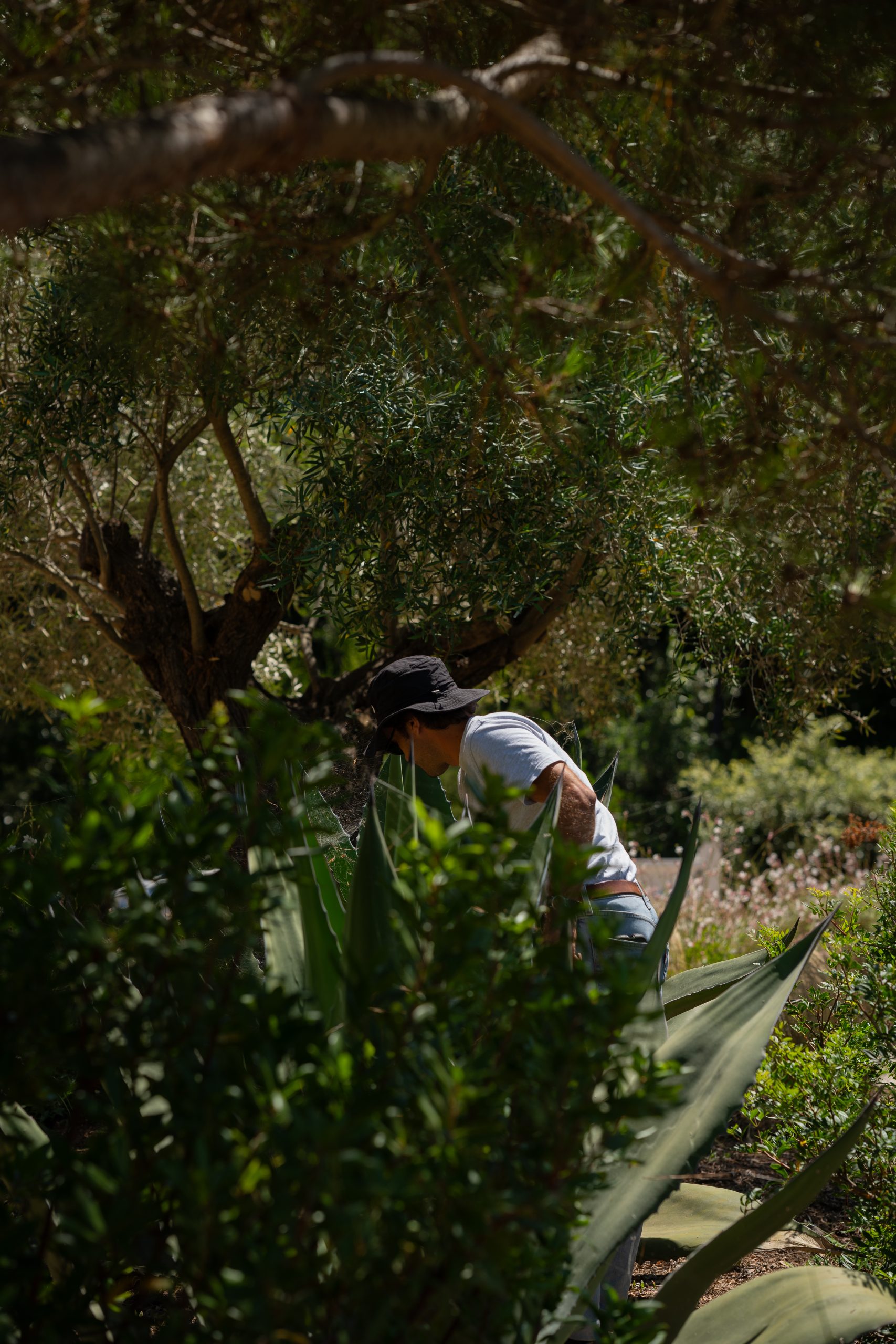 Paysagiste en action